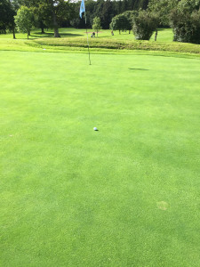 A fine shot from Peter Crosby on 9th hole.